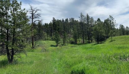 TBD Buckskin Rd