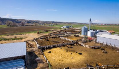 Wise Ln. Farm