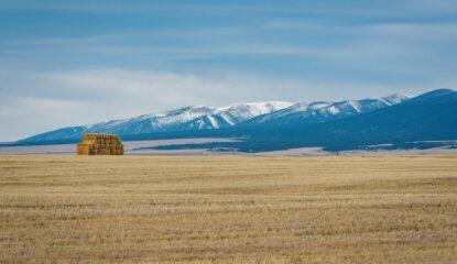 Cameron Creek Farm